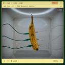 Banana Brain
