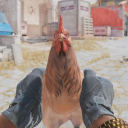 chicken