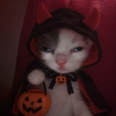 Cat Halloween