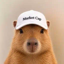 MarketCap