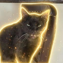 The Anti DMCA Cat