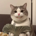 Paid Cat