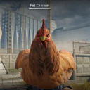 CS2 Chicken Pets