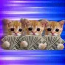 3xcat