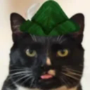 Hoodcat