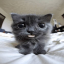 blep