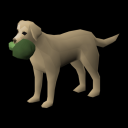 The Runescape Dog
