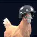 chickwifhelmet