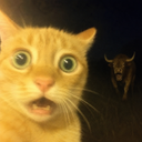 BULLCAT