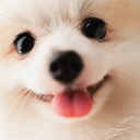 Dog Think