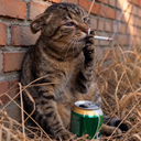 Smoking Beer Cat
