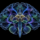Jev Brain