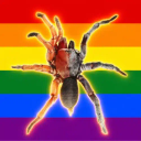 Transpider
