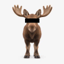 Anonymoose
