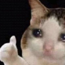 CRYING CAT