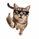 COOLCAT