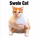 Swole Cat