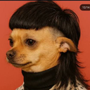 Mulletdog