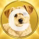 Calicoin