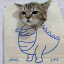 Dino Cat