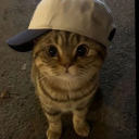 catwifcap