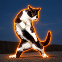 Kung Fu Cat
