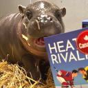 The Pygmy Hippo