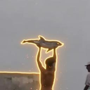 Justice For The Dolphin