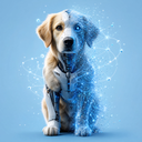 The Quantum Dog
