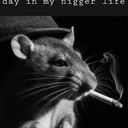 Another Disgusting day