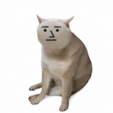 CASH CAT NPC