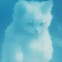CloudCat