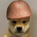 Can I Put This Dick Inu