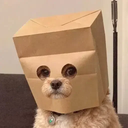 Anonymous Dog
