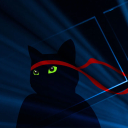 Ninja Cat