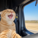 vibecat