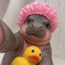 The Tiny Hippo