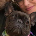 The Hero Dog