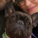 The Hero Dog