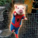 Peter Porker