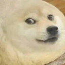 Doughecoin