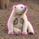 Boobie the panda