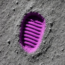 Giant Leap for Mankind