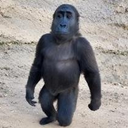 SalamalekoMacho