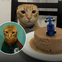Catwifoutear
