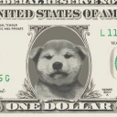 United States Dog 