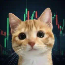 STONKCAT