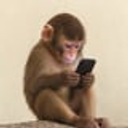 apeonfone