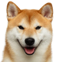 inu