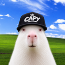 cap on cap